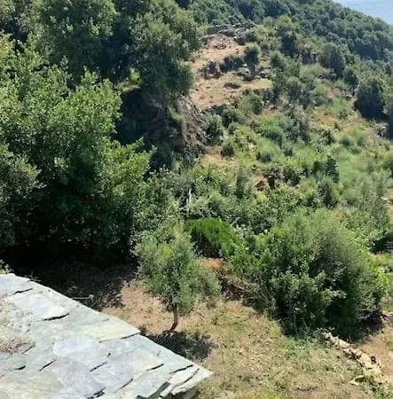 شقة T1 Hauteurs De Bastia Vue Unique Sur La Mer Ville-di-Pietrabugno